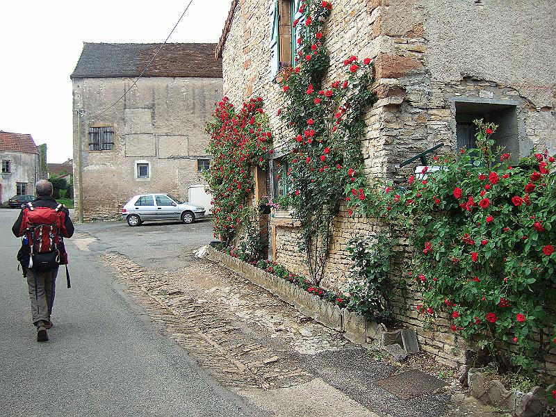 2010-05- (50).JPG